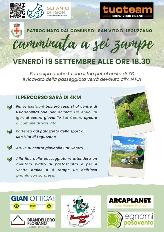 Immagine: camminata a sei zampe