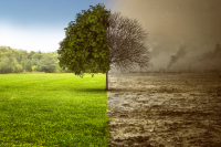 Immagine: inquinamento