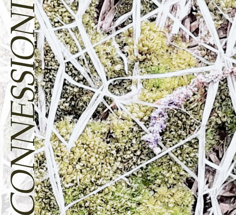 Locandina immagine connessioni
