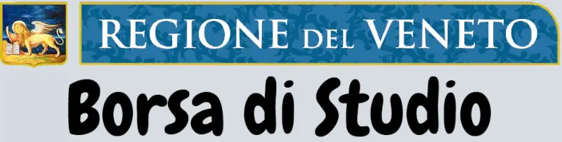 Immagine: Immagine borsa di studio